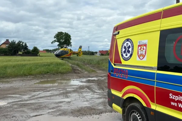OSP Nekla interweniowała przy powalonych drzewach i zdarzeniu medycznym