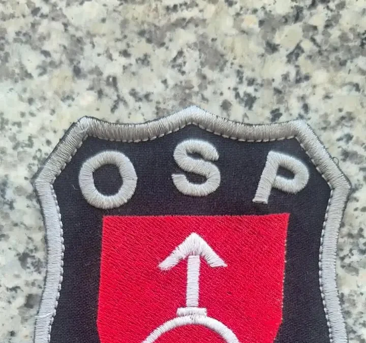 Naszywka OSP Nekla na licytację dla Kazika – wesprzyj leczenie dystrofii Duchenne’a