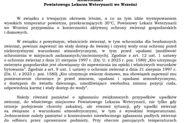 Upały: Weterynarz apeluje o ochronę zwierząt i zgłaszanie padłych