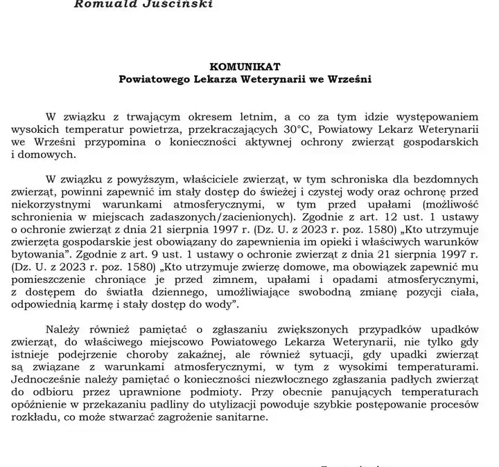Upały: Weterynarz apeluje o ochronę zwierząt i zgłaszanie padłych