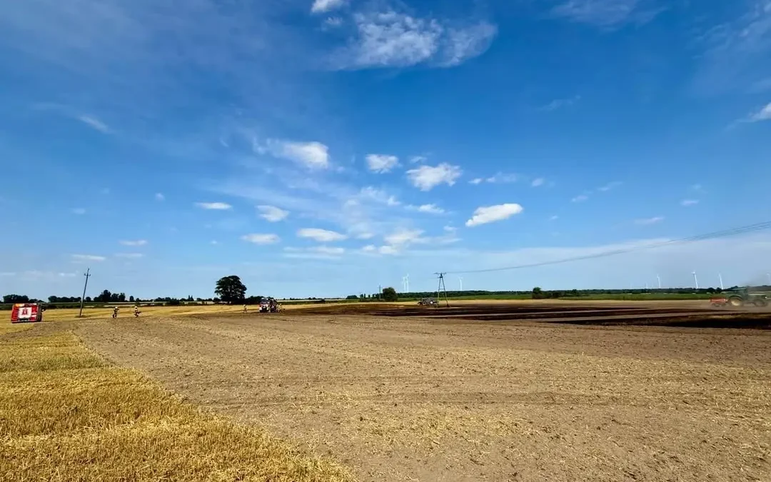 Pożar zboża w Biechówku – strażacy walczyli z ogniem