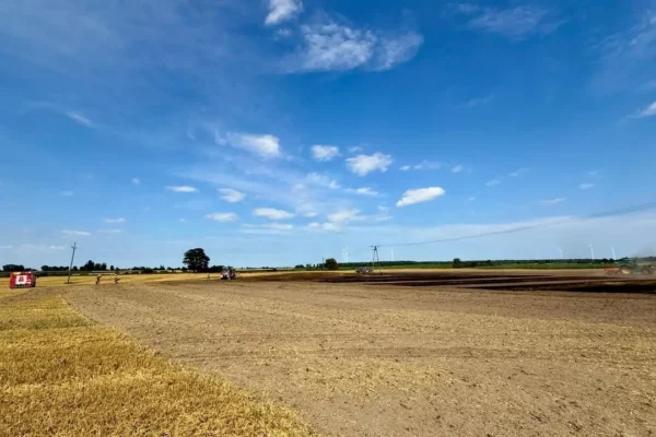 Pożar zboża w Biechówku – strażacy walczyli z ogniem
