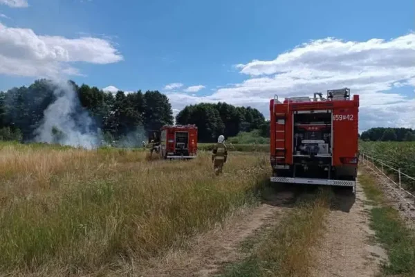 Pożar trawy i fałszywy alarm – interwencje OSP Nekla w lipcu