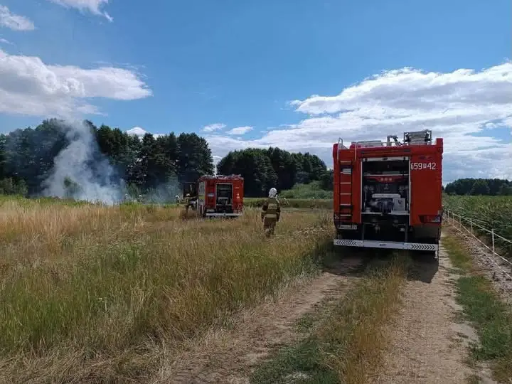 Pożar trawy i fałszywy alarm – interwencje OSP Nekla w lipcu
