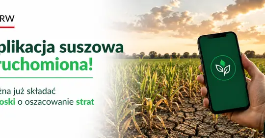 Ruszyła aplikacja suszowa – rolnicy mogą składać wnioski o oszacowanie strat