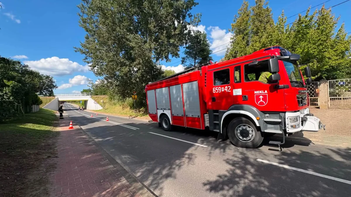 OSP Nekla podsumowuje sierpień i wrzesień: pożar trawy, wypadki i interwencje medyczne