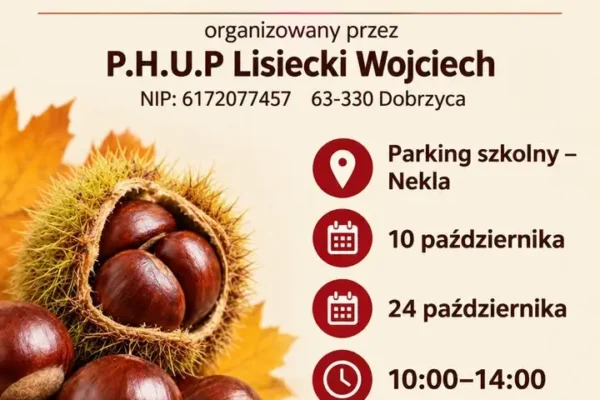 Skup kasztanów w Nekli – dwie okazje w październiku