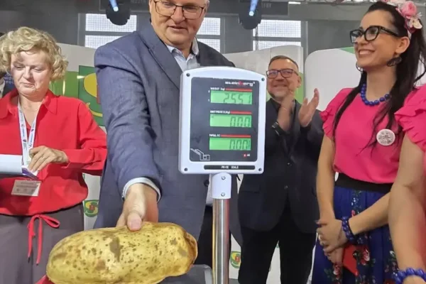 Kołaczkowska pyra zdetronizowana! Znamy wyniki konkursu na największą wielkopolską pyrę